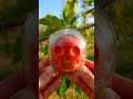 skull shaped apple timelapse 🍎💀 satisfying AI fruit mold #shorts