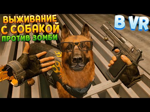 Видео: ВЫЖИВАНИЕ С СОБАКОЙ ПРОТИВ ЗОМБИ В ВР ( Arizona Sunshine 2 VR )