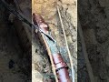 鉄器で排水管を突く:泥沙の詰まりを解消する伝統的な方法
