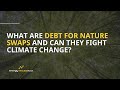 What is a debt for nature swap and how does it work  examples