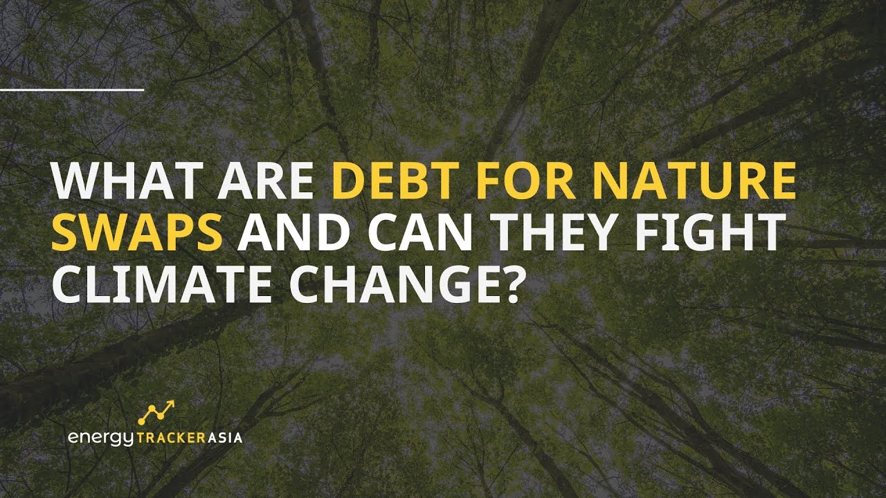 What is a Debt for Nature Swap and How Does it Work? | Examples - YouTube