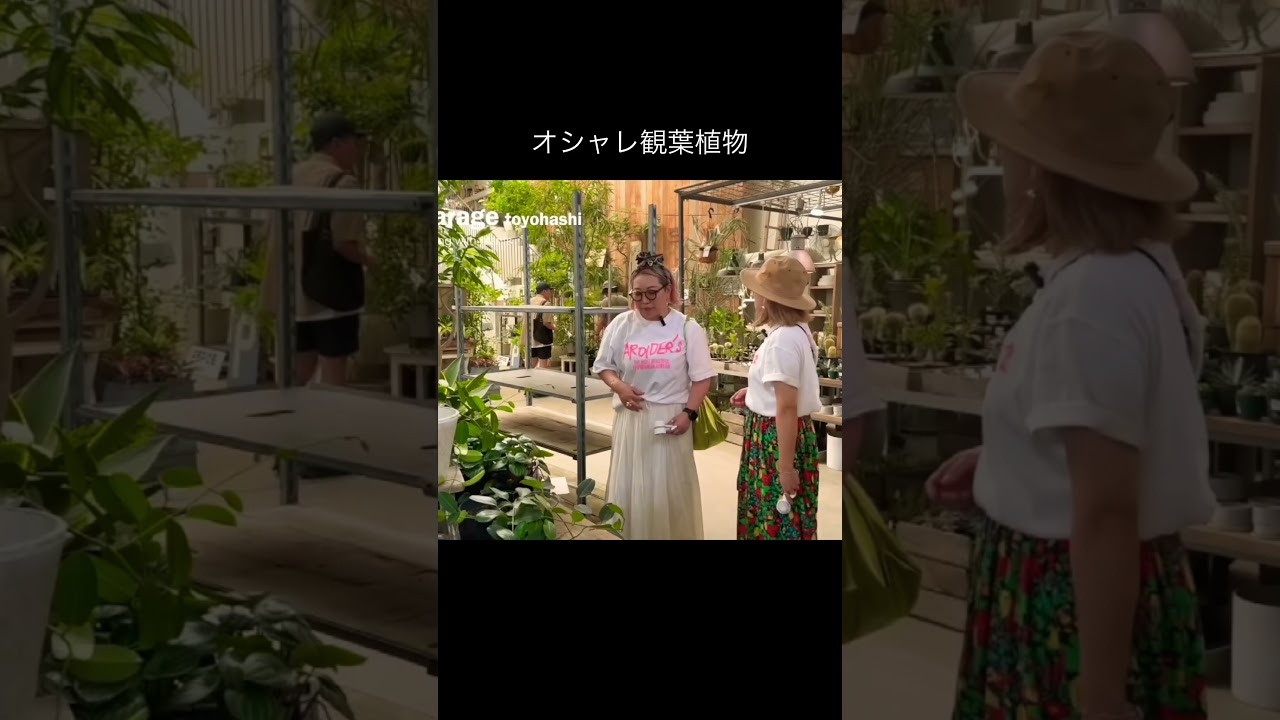 #観葉植物 #インテリアショップ #観葉植物初心者 #インテリアグリーン #インテリア雑貨