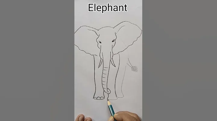Elephant drawing  #shorts