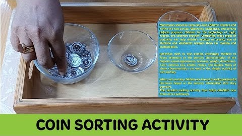 Coin Sorting | Sensorial Activity | Age 3 to 4 years | GHM | KBPG