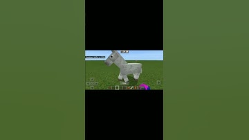 how to put saddle in horse Mincraft {WIZARD}⚡️🦄