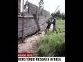 Refeitrio resgata crianas africa