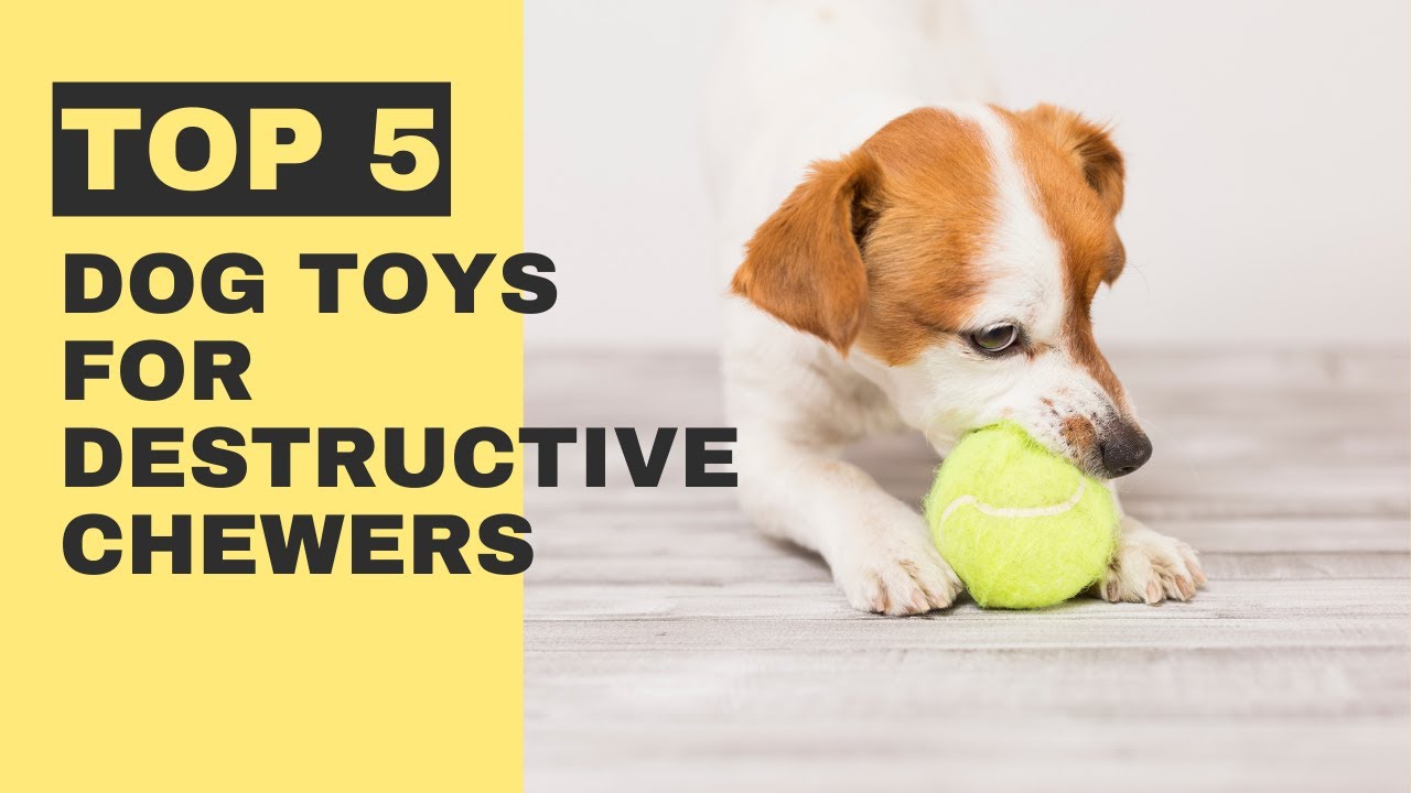 Top 5 Dog Toys For Destructive Chewers