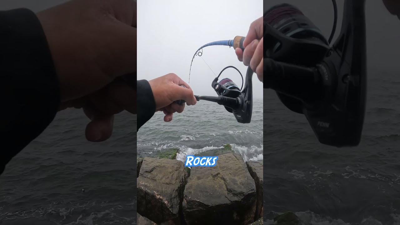 The ABSOLUTE BEST BAIT Fish Can T RESIST Works Year Around 