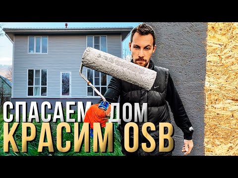 Серая ГНИЛЬ! Чем покрасить OSB? Спасаем фасад дома!