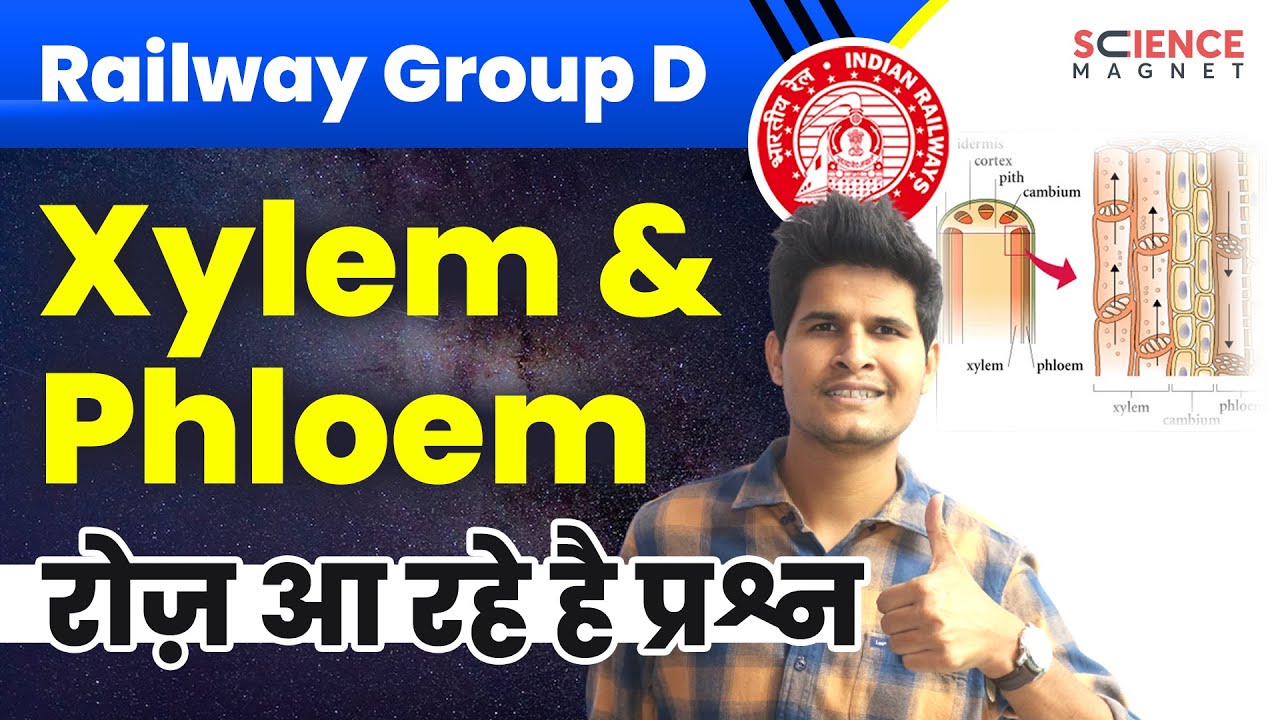 Railway Group D Biology🤩 Xylem & Phloem by Neeraj Sir | रोज आ रहे प्रश्न #neerajsir #sciencemagnet