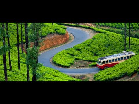 Video: Perbezaan Antara Ooty Dan Kodaikanal Dan Munnar