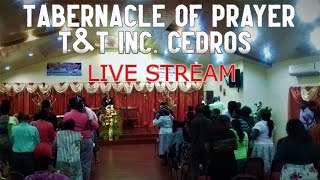 Tabernacle of Prayer T&T Inc. Cedros | Sunday Morning Service | Live Stream