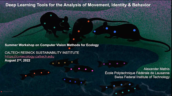 Alexander Mathis, EPFL - "Deep Learning Tools for ...