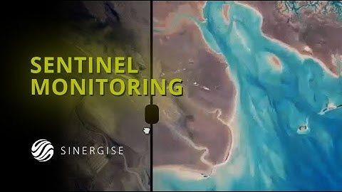 Senitinel Monitoring