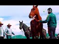 Carrera de caballos  san pablo 2020 vdeo oficial hm producciones per