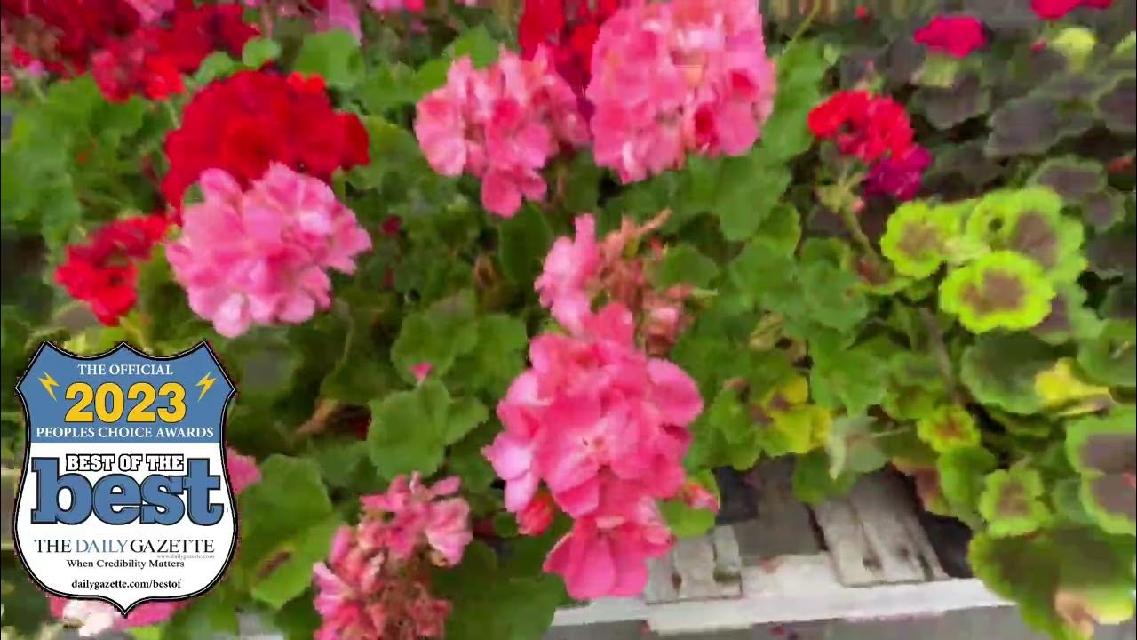 Best of the Best Hewitt's Garden Center YouTube