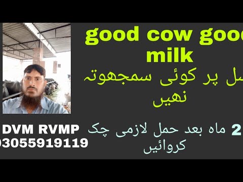 Tips to improve profit from livestockجانورں سے منافہ لینا