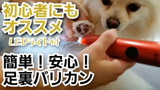 初心者でも簡単安心！トリマーがオススメする今話題の【pateker・パテッカーミニバリカン】犬の足裏や肛門まわりに。