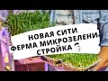 Стройка ! Новая Сити ферма Микрозелени