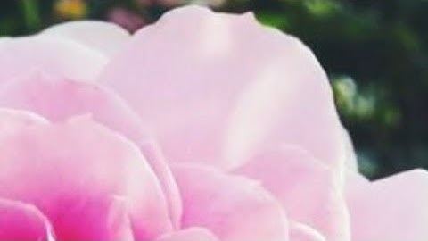 الصفحة(9) سورة البقرة، بصوت القارئ عبد الله أحمد الخلف حفظه الله تعالى ...