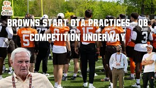 BROWNS QB BATTLE HEATS UP AS TEAM OTA PRACTICES UNDERWAY - The Daily Grossi
