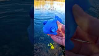 Kids Learning | Sea Animal Names at the Pond: Clown Fish Jellyfish Dolphin Starfish Blue Shark
