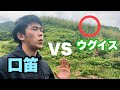 ウグイスと口笛で対決してみた!【タクロー】_移084:タクロー