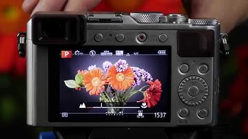 Panasonic - LUMIX Point and Shoot - DMC-LX100 - Focus Peaking