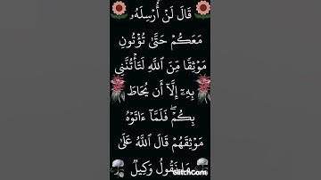 سورة يوسف الآية 66 #القران_الكريم #ايات_قرانيه_قصيره #سورة_يوسف #الشيخ_الحصري