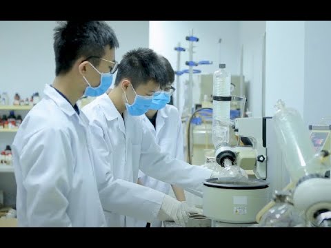 Danh sách 8 Trung tâm Du học nổi bật tại khu vực Gia Lai (Bình Định)