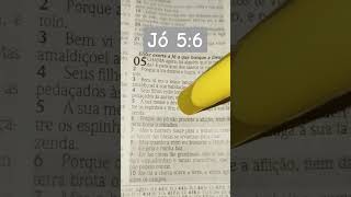 Jó 5:6 Versículo da Bíblia #amor #deus #jesus #fé #gamer #motivation #senhor #biblia #viral