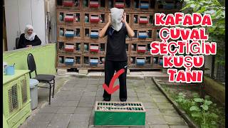 KAFADA ÇUVAL GÖZLER KAPALI SEÇTİĞİN KUŞU TANI ( EMİR HİLE YAPAN KAYBEDER )