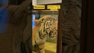 Maneater tiger killed by jimcorbett @therahulaks shorts viral youtubeshortstrendingytshorts