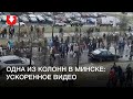 Ускоренное видео с колонной людей в Минске днем 29 ноября