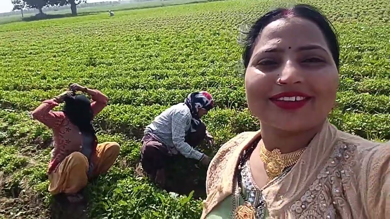  hard wark from filled#Dhaniya nalai#chnnel 16 February 2026