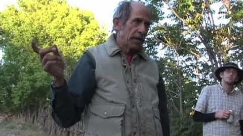 Dendrochronology Tour with Tom Windes part 1