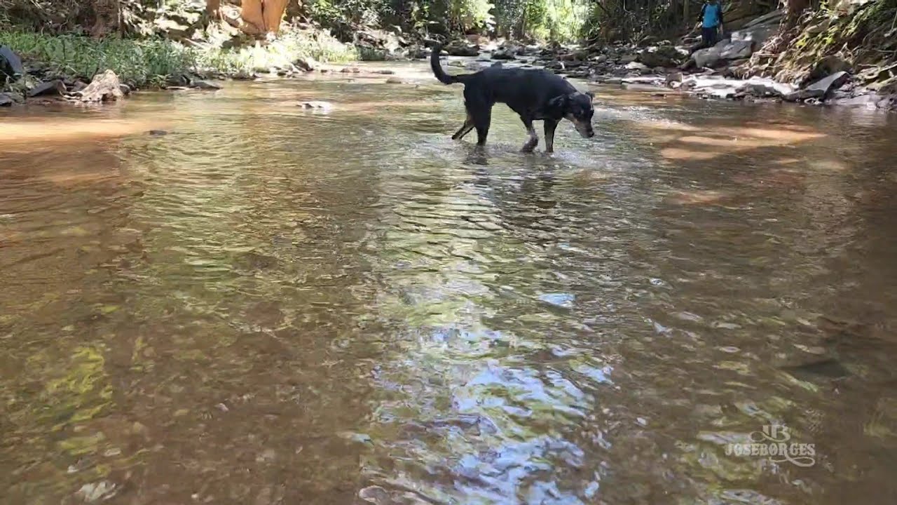 As águas do rio agora está limpa, Nascente com muita água 