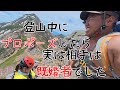 【しばらく立ち直れそうにない】ツクモグサ撮ってる場合じゃない男