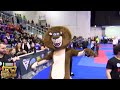 Italian World Cup 2024 Highlights