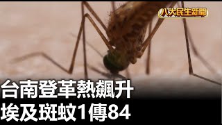 台南登革熱飆升 埃及斑蚊1傳84 |【民生八方事】| 2023091102 @gtvnews27