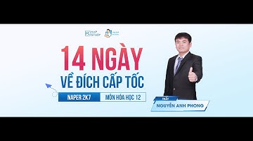 HÓA - CẤP TỐC 14 NGÀY | NGÀY 2 - CA 3: ĐỀ TRƯỜNG SỞ SỐ 202 | Ôn Thi THPT 2025| PHÁC ĐỒ NAP