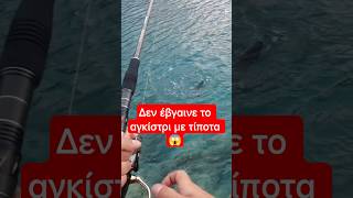 Καλοκαίρι και ζεστά νερά=Λαγοκέφαλοι παντού #fishing #fish #fisherman #ψάρεμα #shorts #lagokefalos