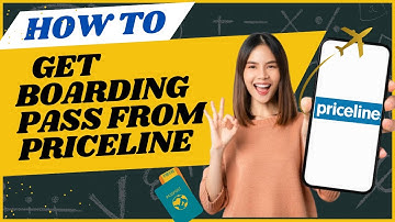 How to get boarding pass from Priceline I DOUBLE Z