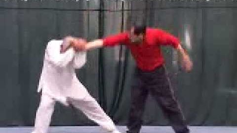 baguazhang sun zhi jun