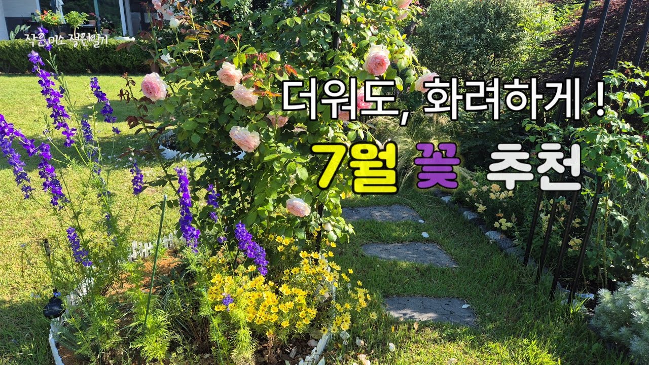 더워도, 화려하게! 7월 꽃 추천