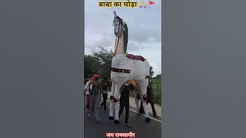 बाबा का घोड़ा 🙏🚩#shortvideo #viral #youtubeshorts #babaramdev #राजस्थानीभजन #trending #shorts