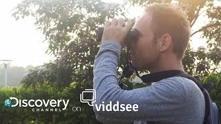 Man Vs. Birds - To Catch The Bird, You Must First BE The Bird // Discovery on Viddsee screenshot 2