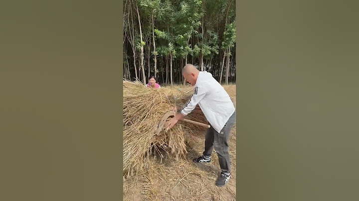 @ Zhindong Da Fei Xin (O2546321517)# Old Iron Alopecia Rescue Plan Begins to Harvend Wheat Again
