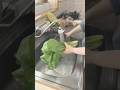 【ルーティン】買い物して即収納❗️野菜を余らせないコツ｜冷凍と冷蔵ストック #ナチュラルライフ #暮らしチャンネル #片付けられない #主婦 #買い物