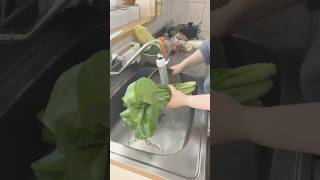 【ルーティン】買い物して即収納❗️野菜を余らせないコツ｜冷凍と冷蔵ストック #ナチュラルライフ #暮らしチャンネル #片付けられない #主婦 #買い物